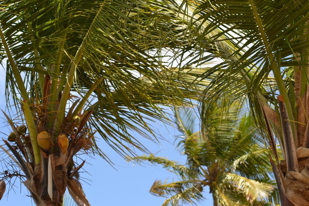 Lindbergh Bay Hotel Altona Esterno foto